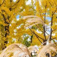 Beautiful Autumn Of Suwon Hwaseong Fortress 