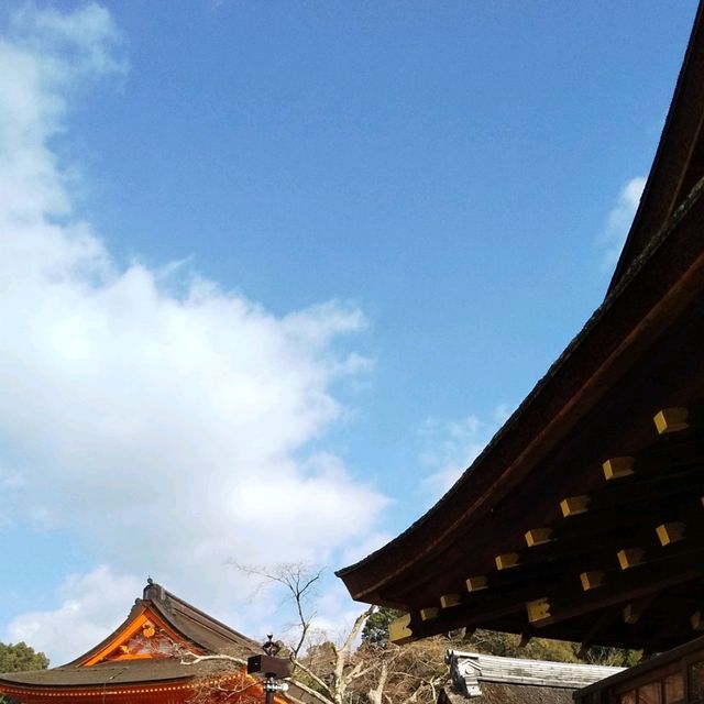 上賀茂神社で、神馬に人参をやったのが楽しかった。