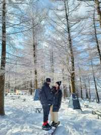 강원도 겨울여행은 여기! 정선 만항재❄️