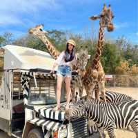 safari park is far from Bangkok around 3hours traffic by car, but it’s really worth to go.