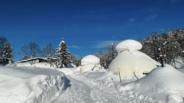 北海道K之屋-旭岳溫泉青年旅館