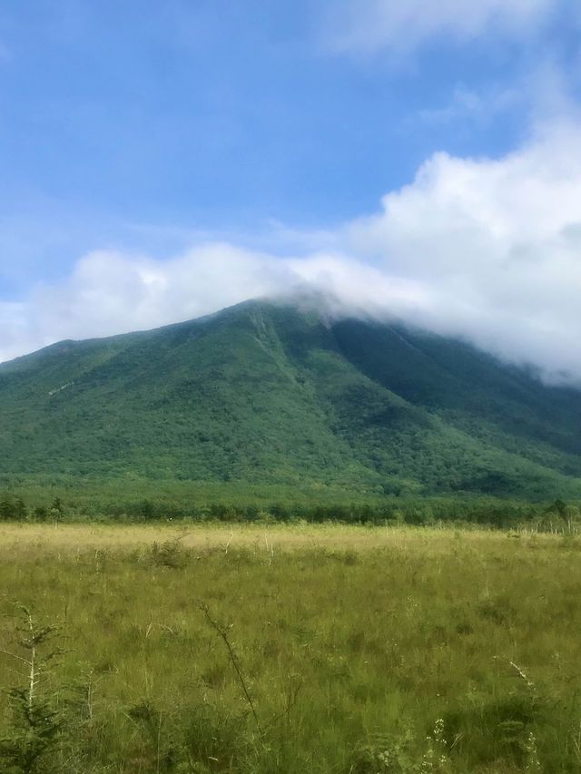 栃木県日光で大自然の中をハイキング【戦場ヶ原】