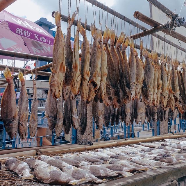 濃厚漁村特色🐟大澳 賞海豚好去處🐬
