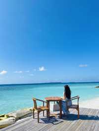 몰디브 현지인들도 인정한 아름다운 리조트🌴💙
