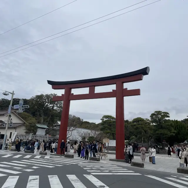 鎌倉で参拝するならば鶴岡八幡宮