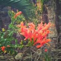 Natural heaven in Myanmar 