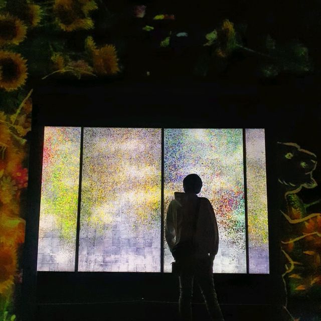 "Enchanted Pixels: TeamLab Borderless Shanghai Unveiled"