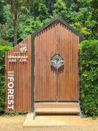 คาเฟ่กระบี่ กลางสวนยาง INTO THE FOREST 