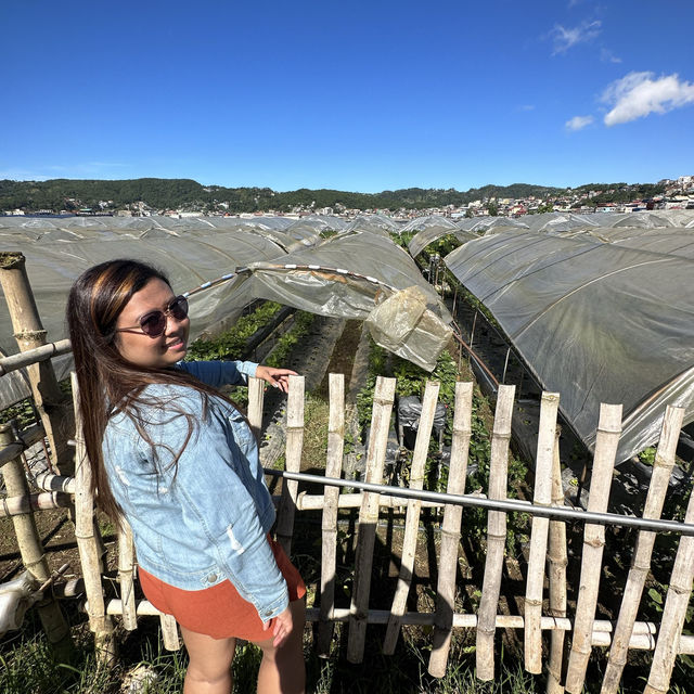 Strawberry - cool place 🥰