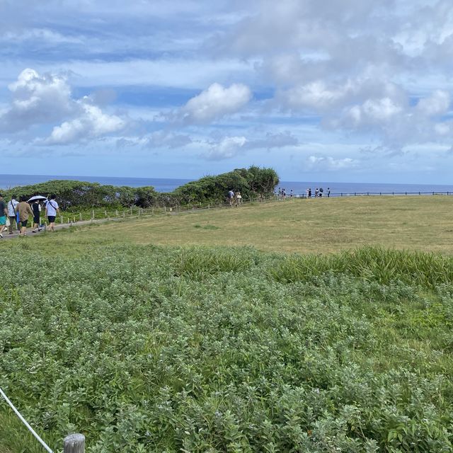 沖縄本島「万座毛」芝生の野原が万座毛、海の景勝地が像の鼻