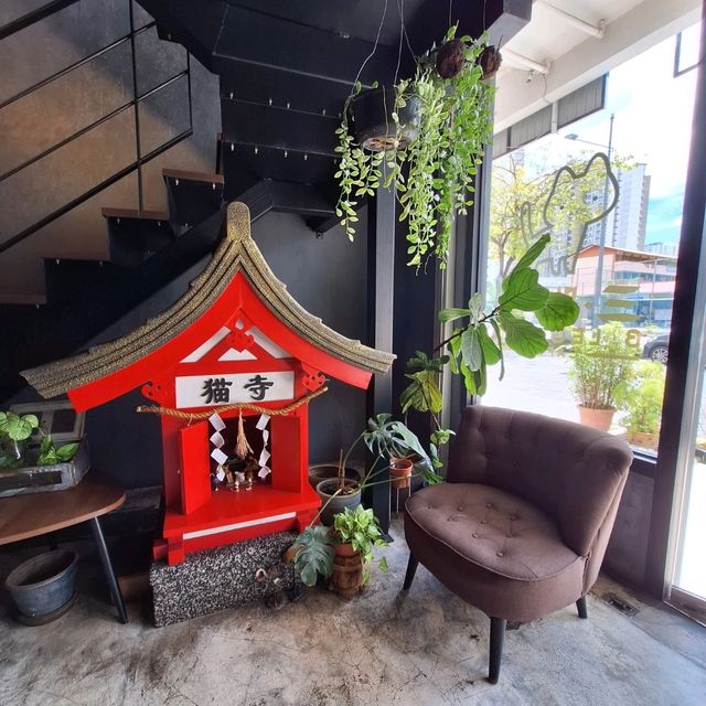 🐈🐈‍⬛️ Cafe Hoppin': Three Leg Cat Cafe [Penang]