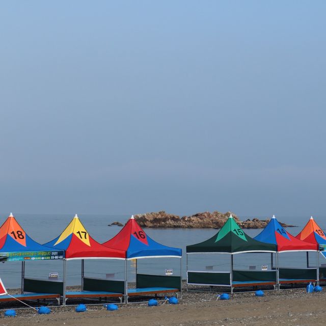 경주 역사 여행, 경주문무대왕릉🌊