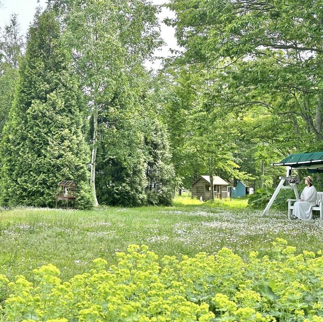 北海道観光＊初夏のえこりん村
