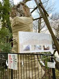 【東京都/布多天神社】ゲゲゲの鬼太郎の舞台として有名な神社