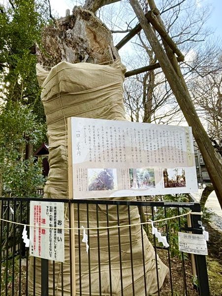 【東京都/布多天神社】ゲゲゲの鬼太郎の舞台として有名な神社
