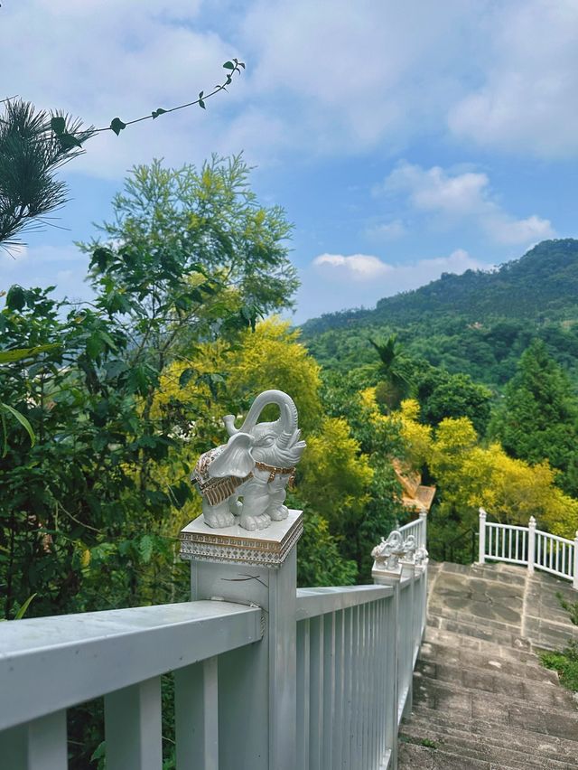 《雲林》泰式風情高腳屋 古坑免門票新景點-桂林映象館