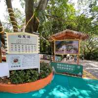 與動物近距離接觸：深圳野生動物園