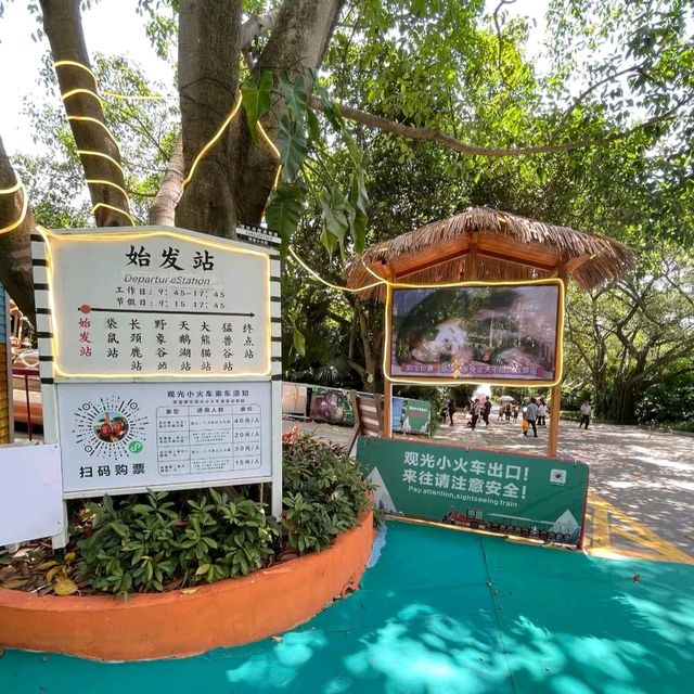 與動物近距離接觸：深圳野生動物園