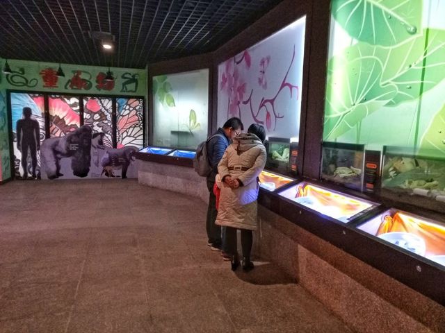 Beijing Zoo 🦓✨