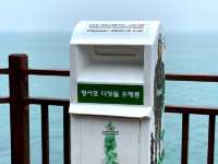 부산 청사포 투명 다리가? “청사포 다릿돌전망대”🌁