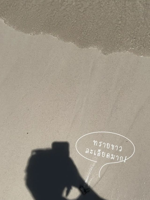อ่าวมาหยา เปิดแล้ว! Beach Destination สักครั้งต้อง