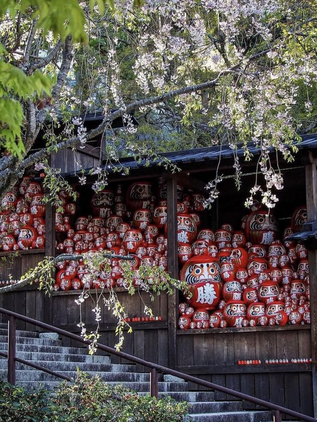 🔴🧘‍♂️勝尾寺～紅色達摩公仔的世界⛩️🔴🧘