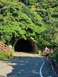 [台北] 市區低難度的登山步道 超美沉積岩打卡景點-軍艦岩登山步道