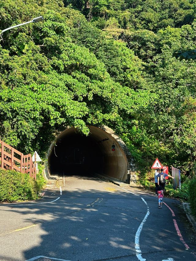 [台北] 市區低難度的登山步道 超美沉積岩打卡景點-軍艦岩登山步道