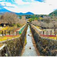 Iyashino-Sato Nenba Healing Village