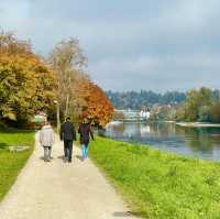 Autumn Bliss on Rheinquai's Edge