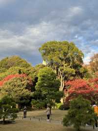 【六義園】　東京の隠れた紅葉🍁スポット