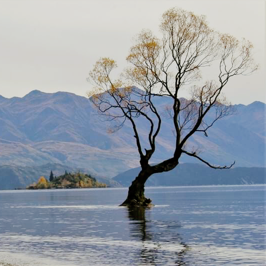 Lake Wanaka in Autumn