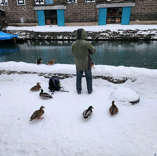 겨울 오타루 여행 필수 스팟 오타루 운하