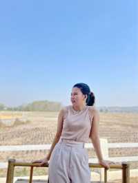 คาเฟ่เมืองน่าน ท่าวังผา