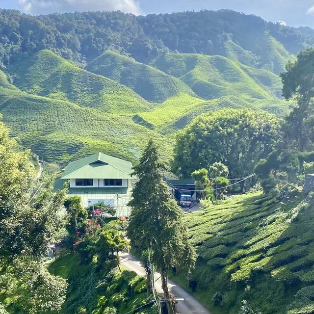 Wintry landscape in Malaysia