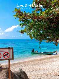 🌊Sai Daeng Resort🐢เกาะเต่า 4 วัน 3 คืน🦈ก็ไม่พอ