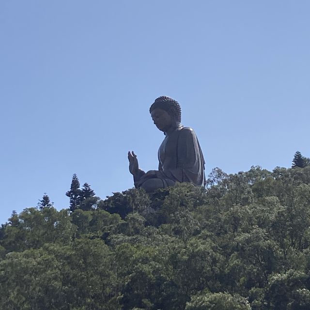 香港天壇大佛 香港天壇大佛