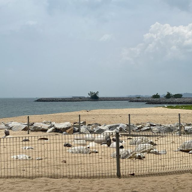 PENGKALAN BALAK BEACH 