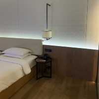 BEST HOTEL IN Delhi 🇮🇳 Andaz Hotel Aerocity