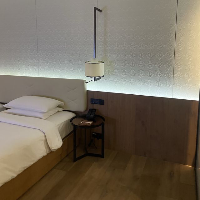 BEST HOTEL IN Delhi 🇮🇳 Andaz Hotel Aerocity