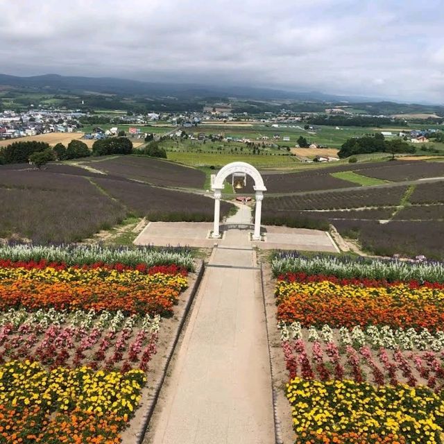 在日之出公園露營