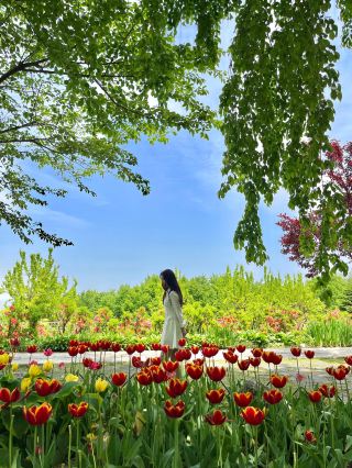 🌷💐Pinnacle Land💐🌷