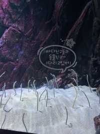 일산 핫플 🐠 아쿠아플라넷에서 주말 보내기