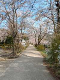 Oshino Hakkai Village