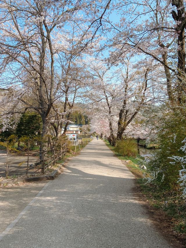 Oshino Hakkai Village