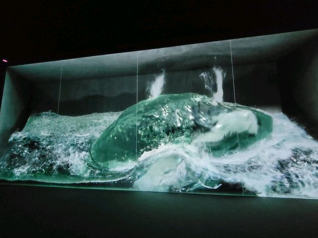 沉浸式視覺藝術展覽