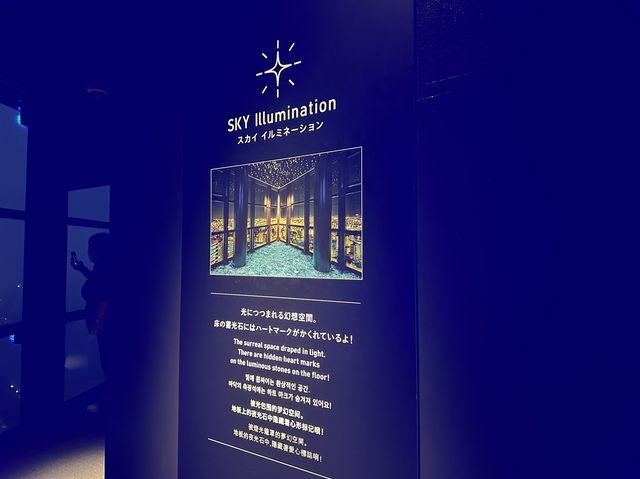 福岡・百道浜。『福岡タワー』を無料で楽しむ『バースデー特典』(夜利用)