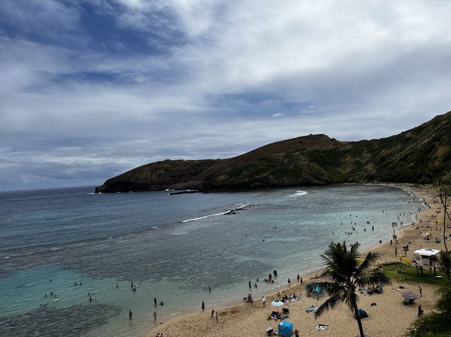 ハワイ【ハナウマ湾】大人気ビーチ🏝️