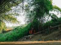 Route 3085 Campsite จ.กาญจนบุรี