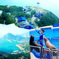 Fun Time at Hong Kong Ocean Park